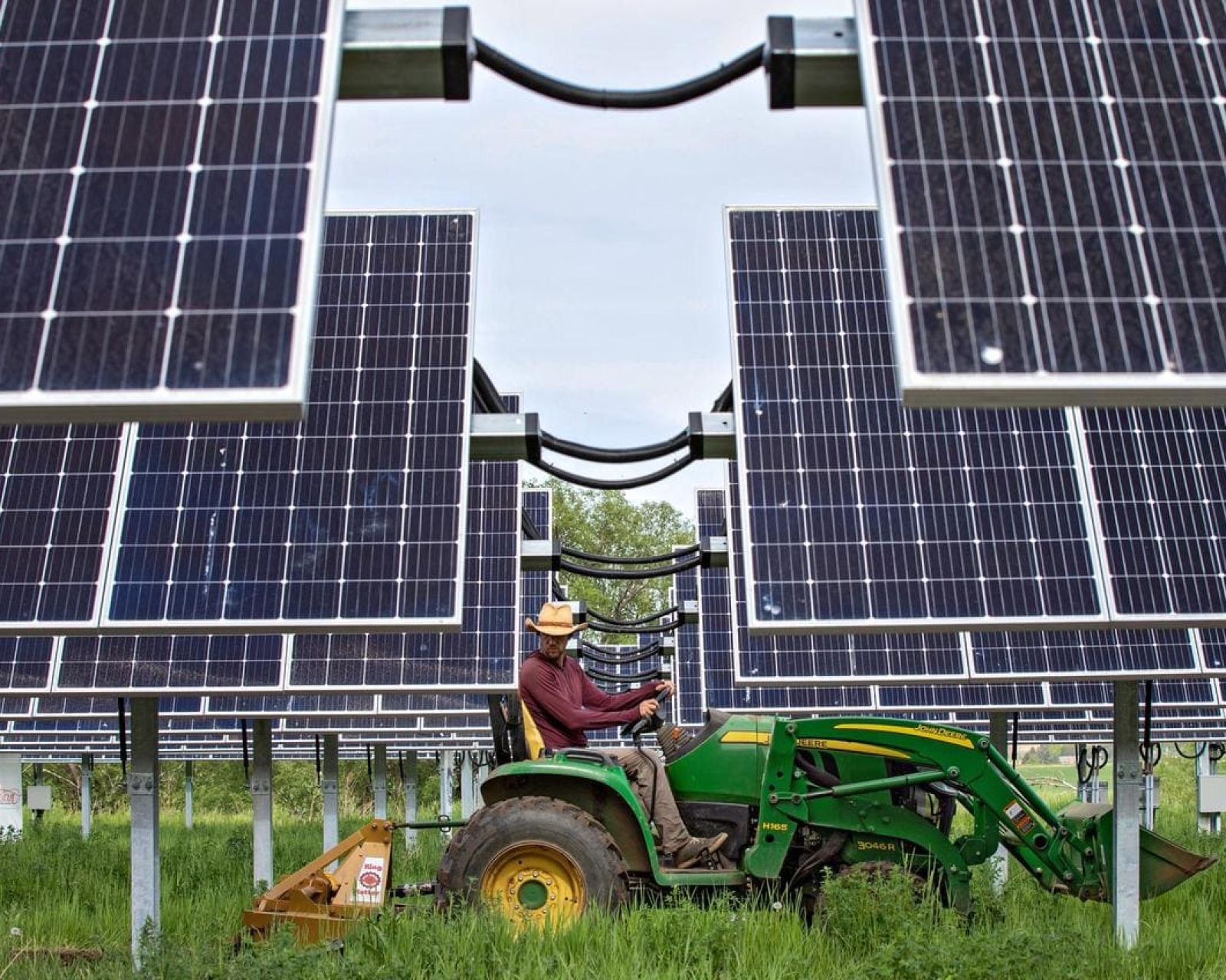 Wykorzystanie energii słonecznej w rolnictwie. Rolnictwo fotowoltaiczne